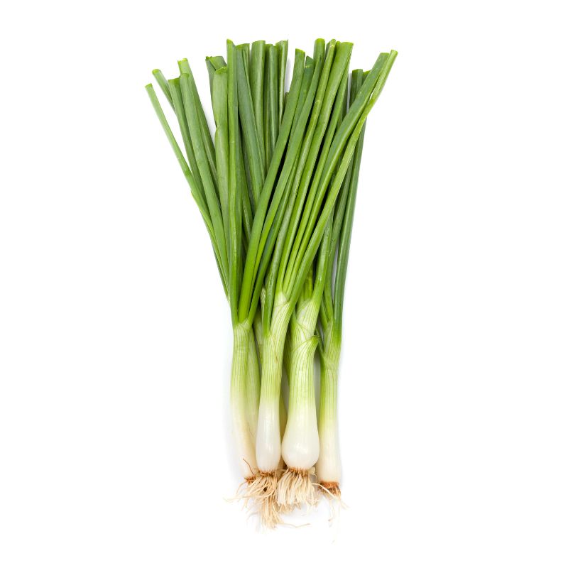 Cebolla Larga
