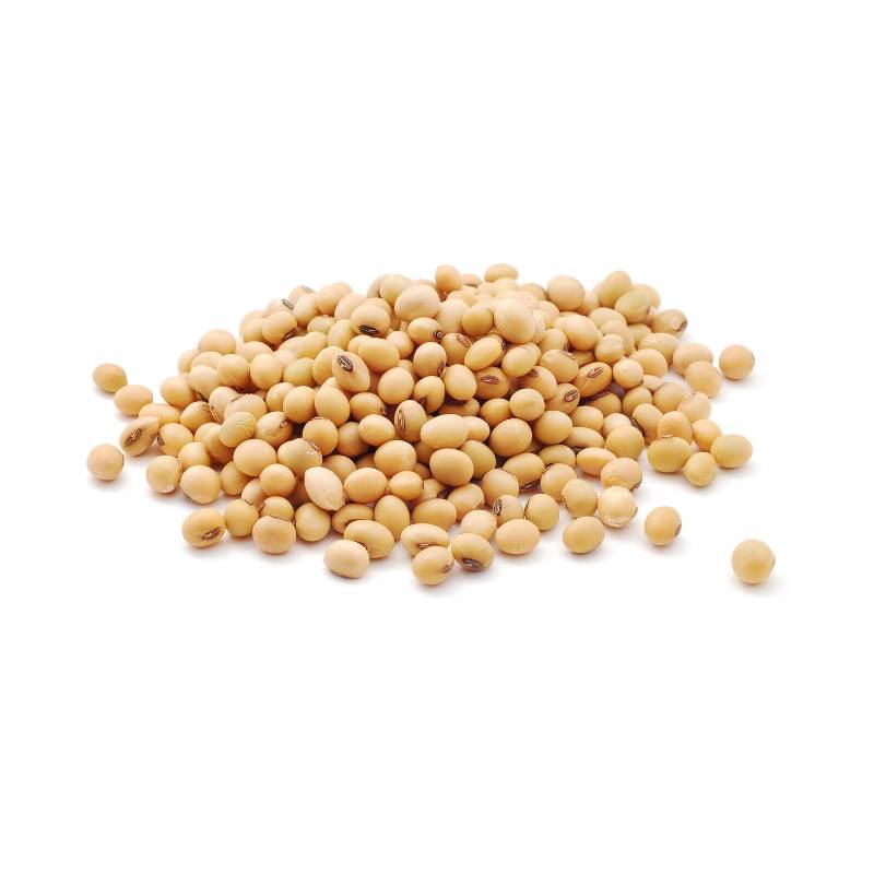 Soya
