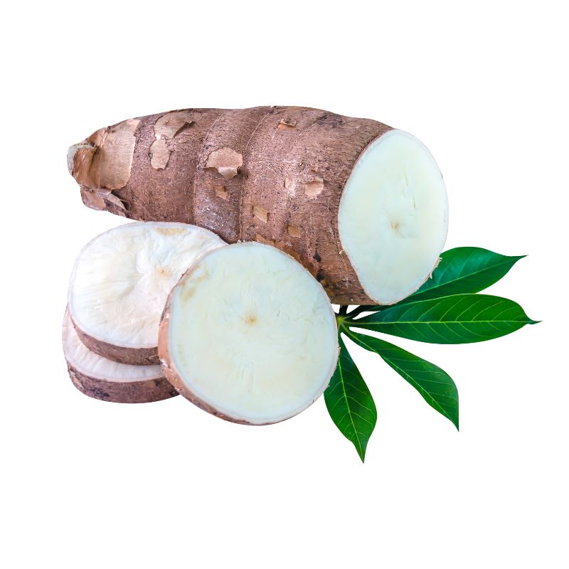 Yuca